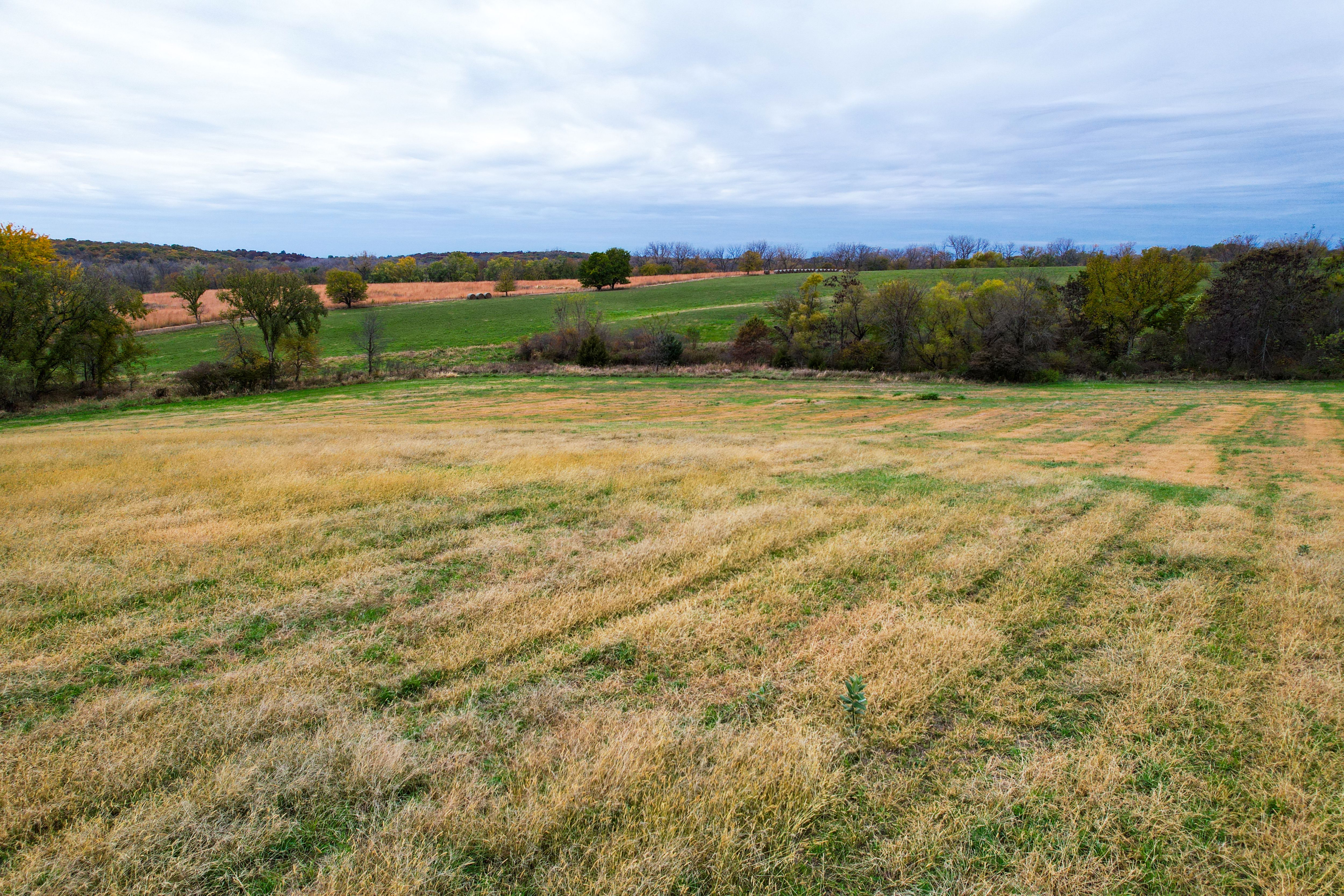 Listing Photo: Photo Oct 27 2025, 2 14 11 PM